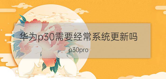 华为p30需要经常系统更新吗 p30pro 软件更新最只有鸿蒙2.0？